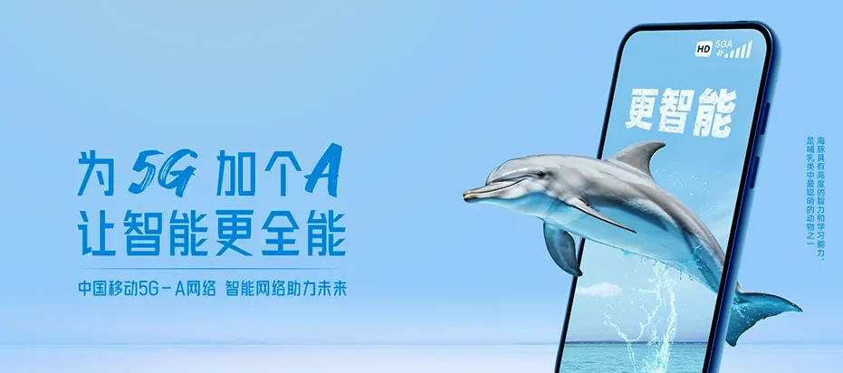 颍上县颍上县鲁口镇 移动宽带